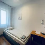 Goscinne Strumykowa Проживание в семье *